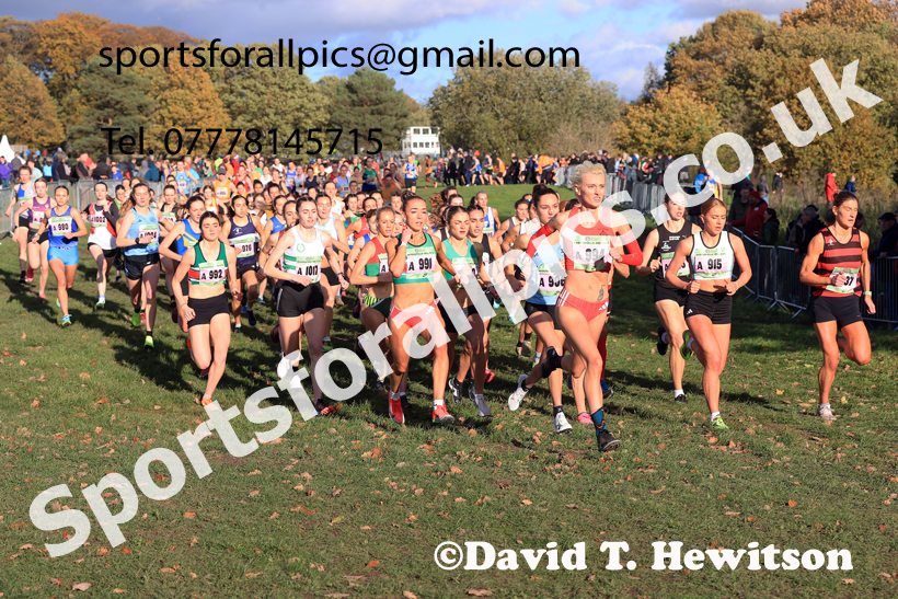 Senior Womens 2025 National Cross Country Relays, Berry Hill Park, Mansfield. Photo: David T. Hewitson/Sports for All Pics